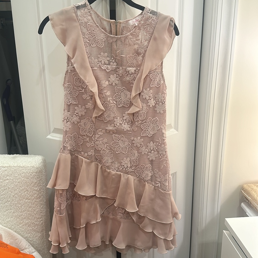 Parker Womens Dresses Parker Gabriel Dusty Light Pink Lace Ruffle Mini Dress - Picture 3 of 6